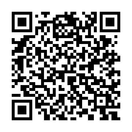 QR code for 387FLX