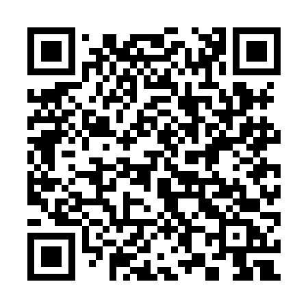 QR code for 387HFC