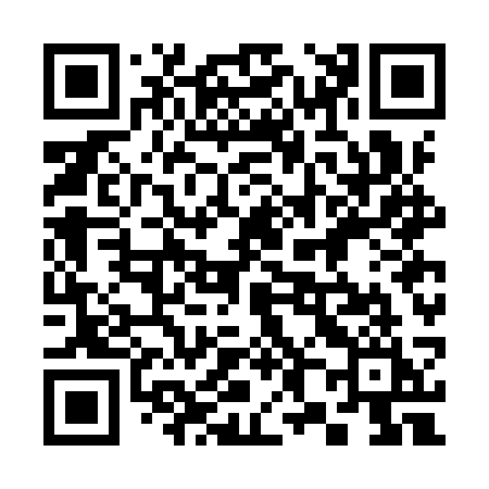 QR code for 387ISI
