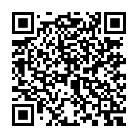 QR code for 387LEI