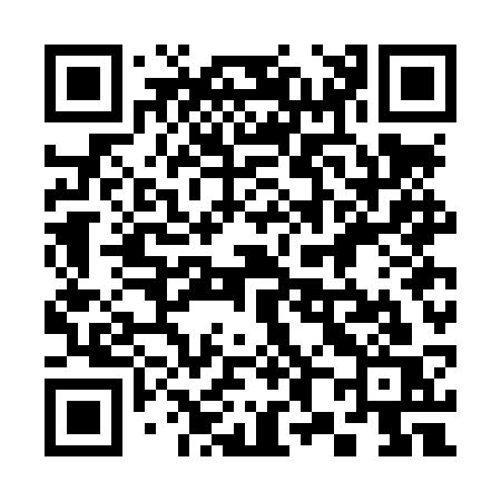 QR code for 387LSS