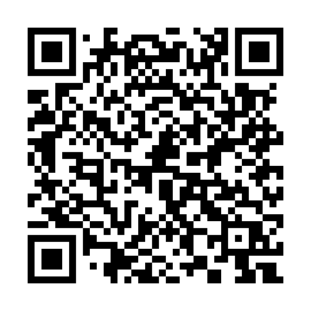 QR code for 387MVP