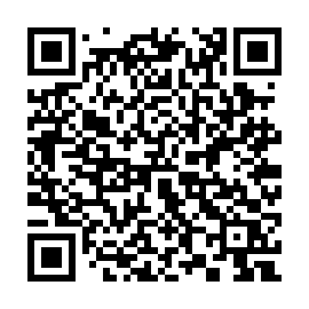 QR code for 387PFR