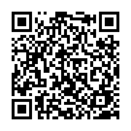 QR code for 387SGD