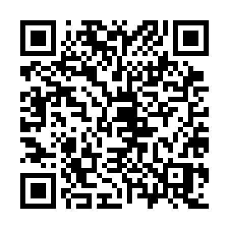 QR code for 387SHR