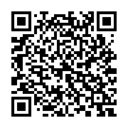 QR code for 387SWG