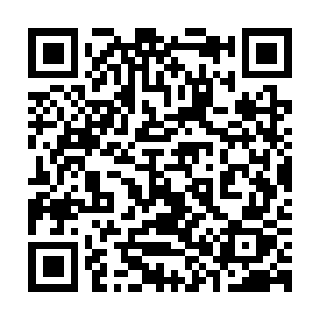 QR code for 387SWZ
