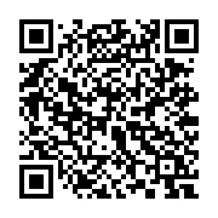 QR code for 387TEV