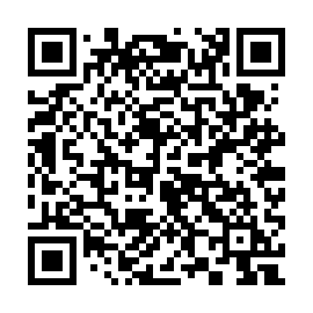 QR code for 387VAI