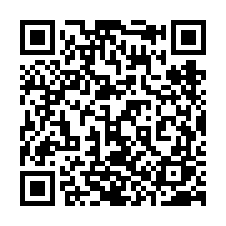 QR code for 387VFP