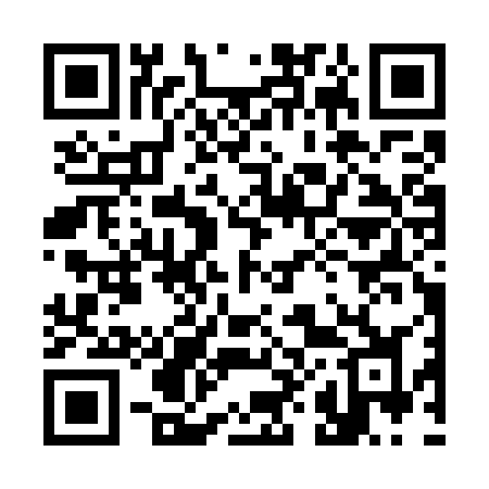 QR code for 387WWJ