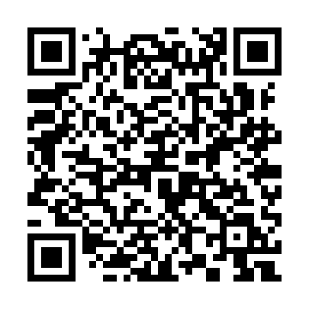QR code for 387YAL