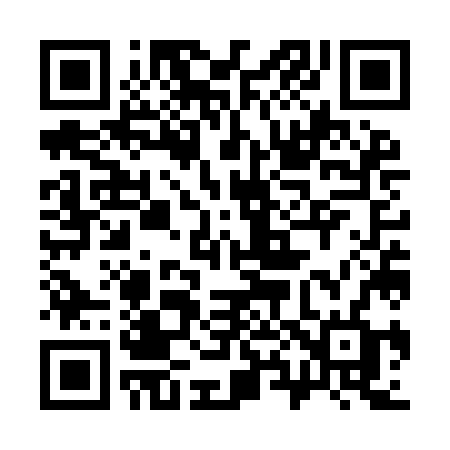 QR code for 387YJF