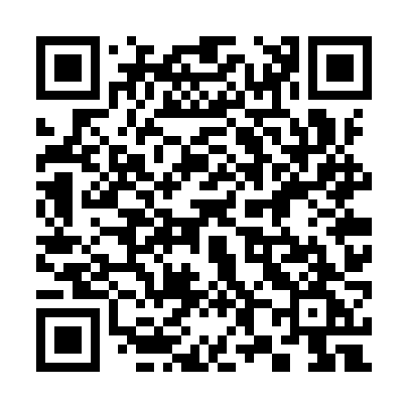 QR code for 387YZG