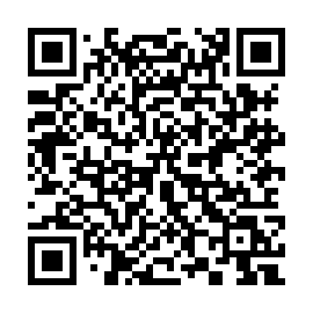 QR code for 388HOL