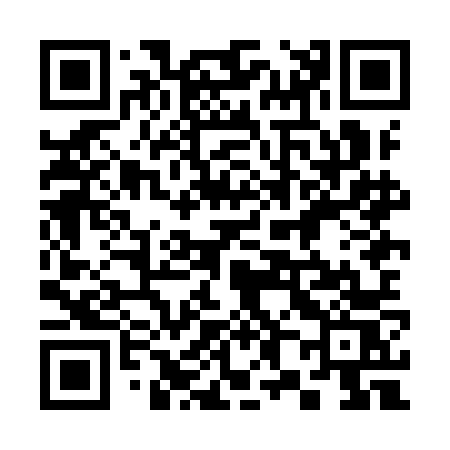 QR code for 388INS