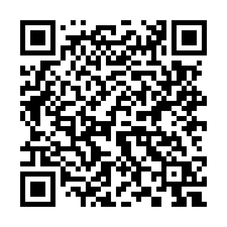 QR code for 388MSR