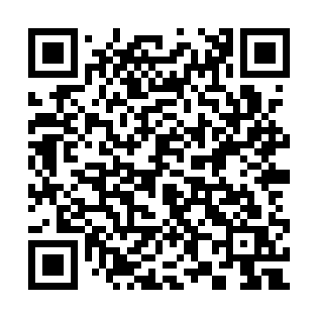 QR code for 388QQS