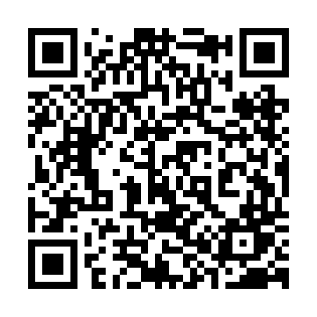 QR code for 389BDT