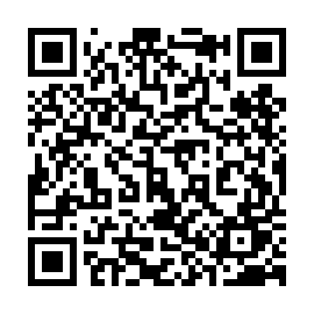 QR code for 389DET