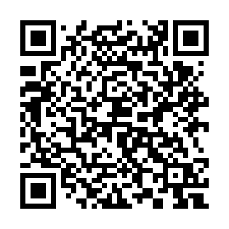 QR code for 389FSR