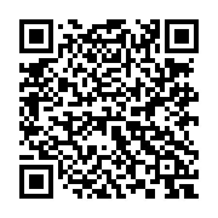 QR code for 389LDF
