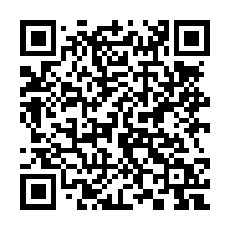 QR code for 389LST