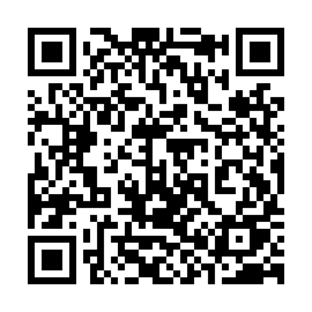 QR code for 389LYU