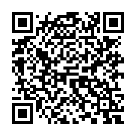 QR code for 389NOK