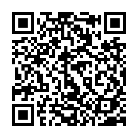 QR code for 389NYI