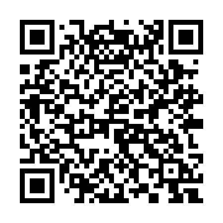 QR code for 389PKC