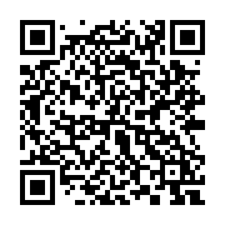 QR code for 389PPZ