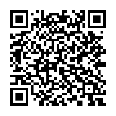 QR code for 389PTT