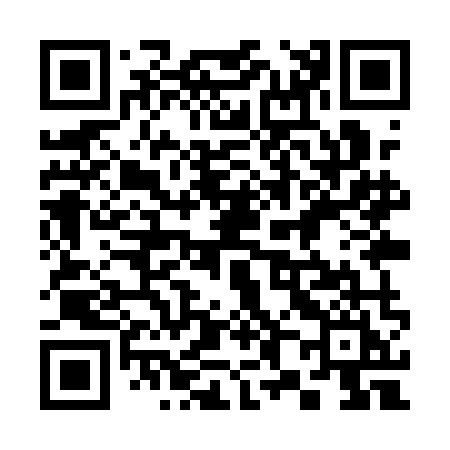 QR code for 389QMI