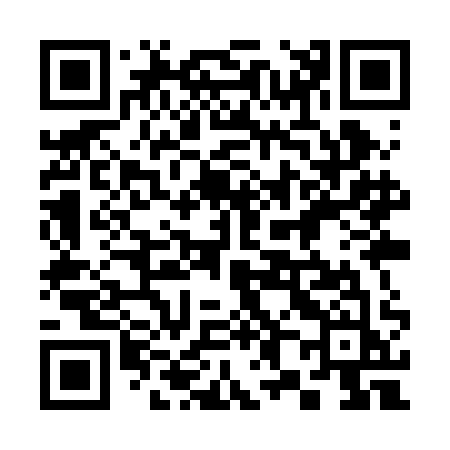 QR code for 389RAJ