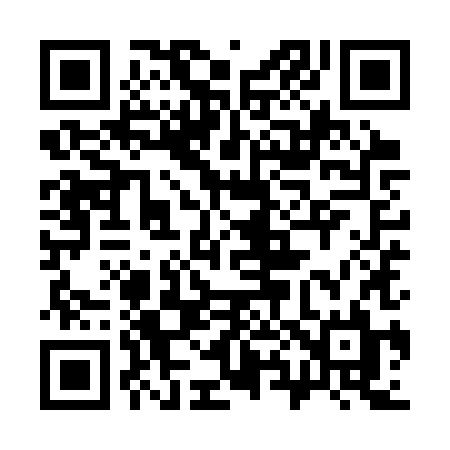 QR code for 389SXL