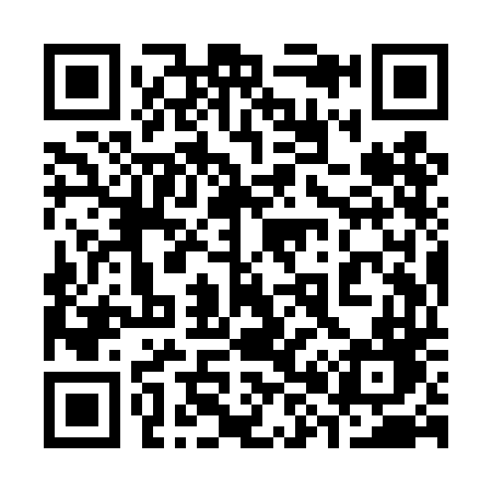 QR code for 389TDD