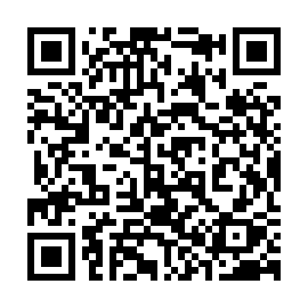QR code for 389XSX