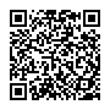 QR code for 390AII