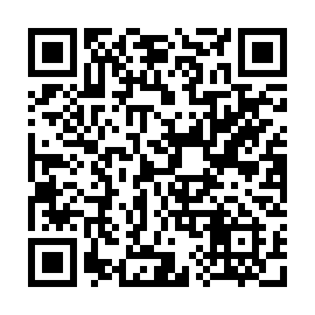 QR code for 390BSI