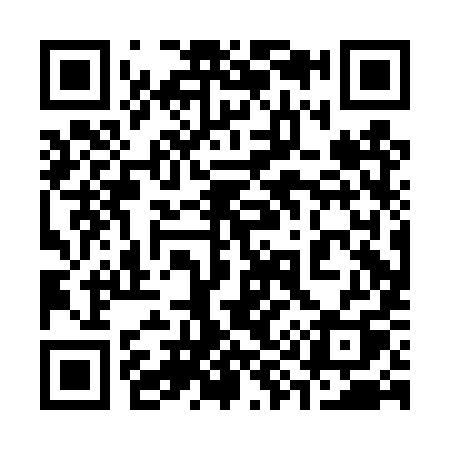 QR code for 390DYQ