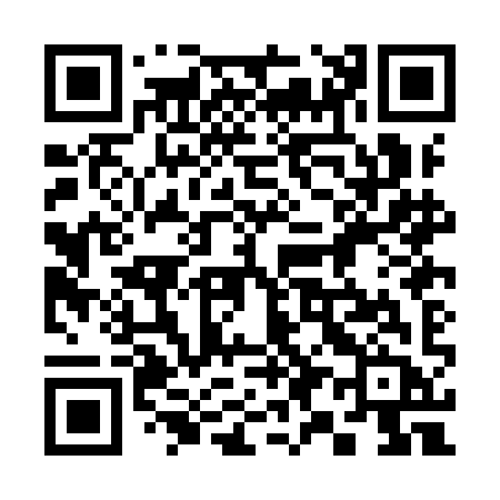 QR code for 390IIB