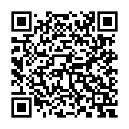 QR code for 390MHS