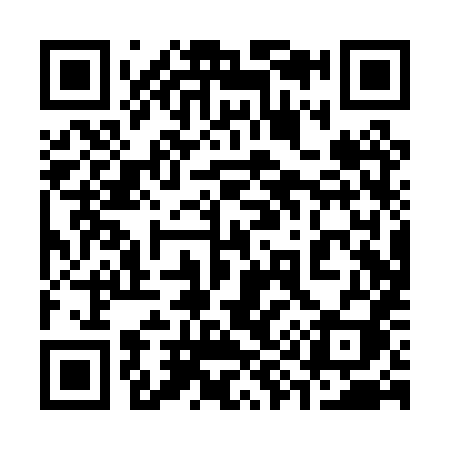 QR code for 390PXI