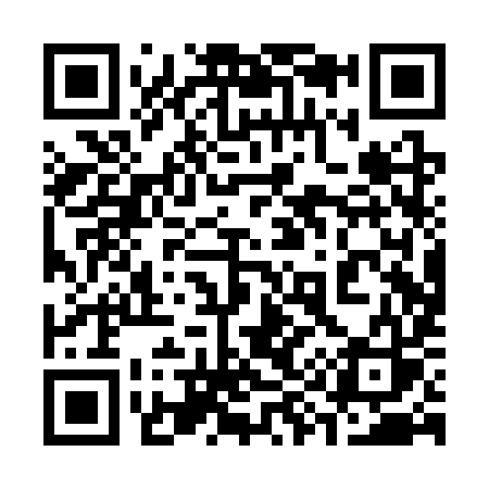 QR code for 390SYS