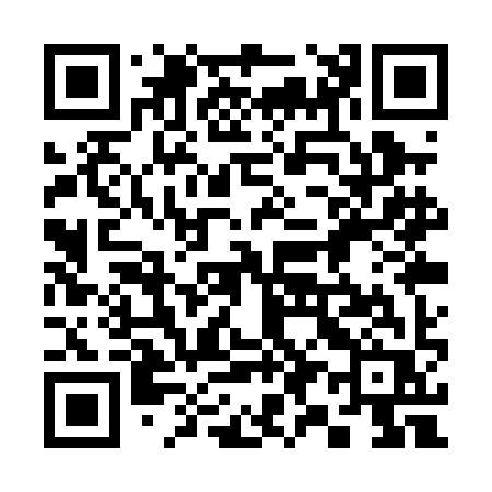 QR code for 391PIR