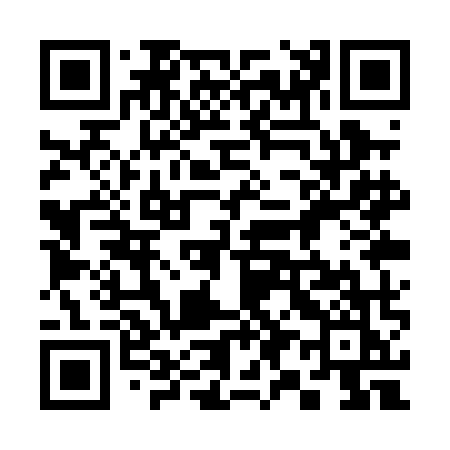 QR code for 391PMK
