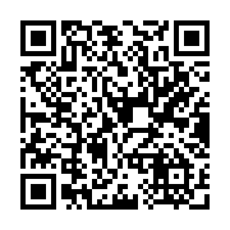 QR code for 391SSM