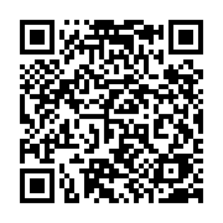 QR code for 393ACE