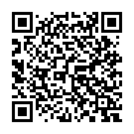 QR code for 393BNC